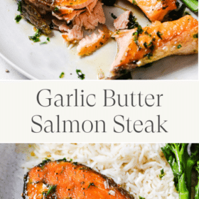 Titled Photo Collage (and shown): Salmon Steak